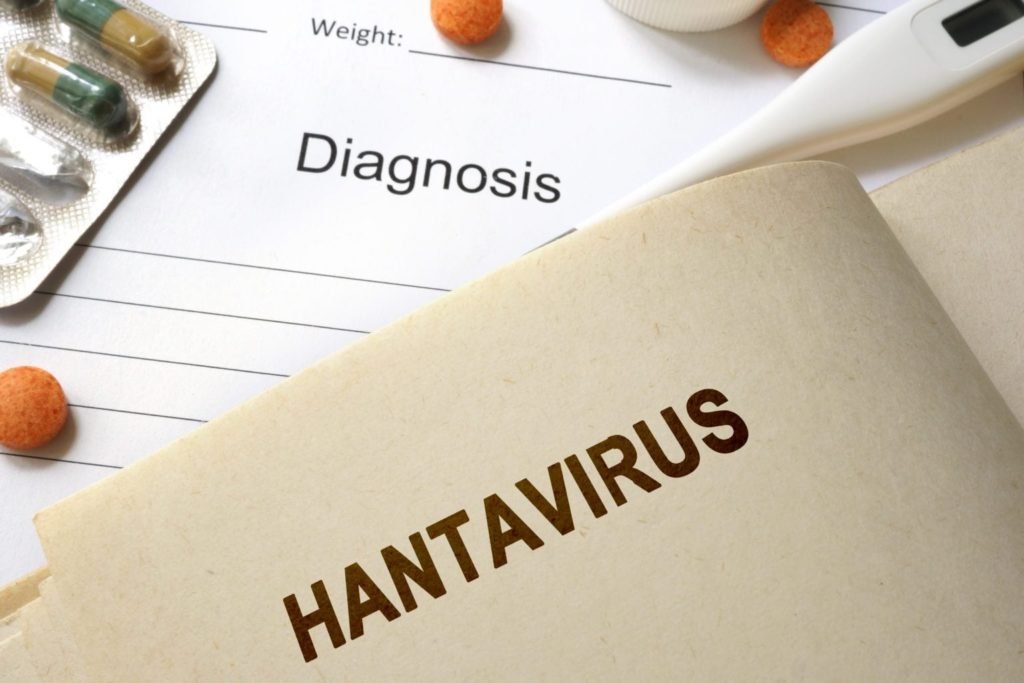 Hantavirus explanation