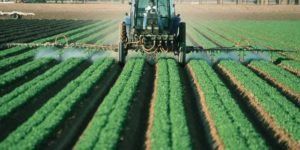 వ్యవసాయం వైపు యువత అడుగులు