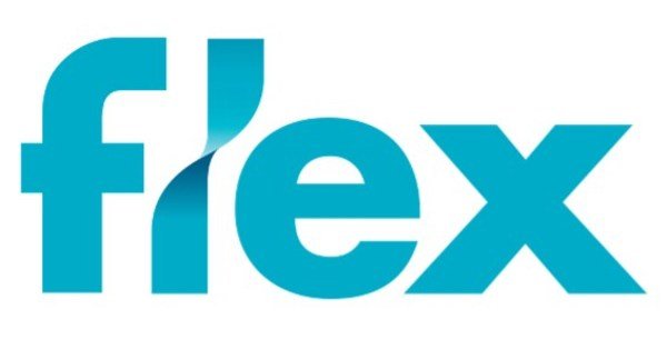 FLEX-LOGO Logo
