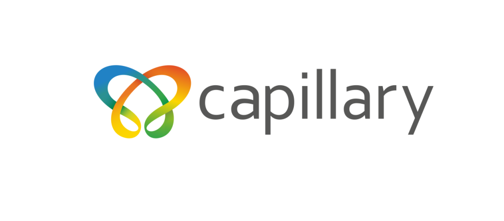 Capillary