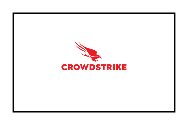 Crowd Strike