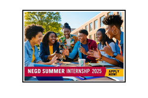 negd-summer-internship-flm-poster.png