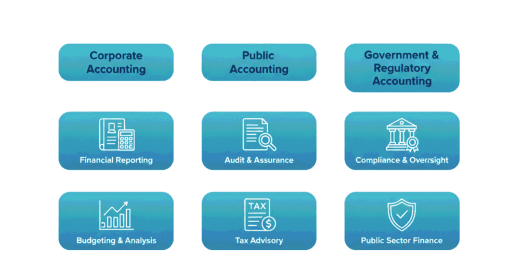 Corporate, public, and government accounting career paths explained visually.