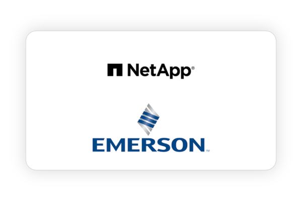 Netapp and emerson flm poster