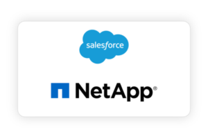 Netapp & Salesforce flm poster