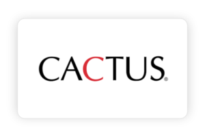 Cactus Internship flm Job notifications