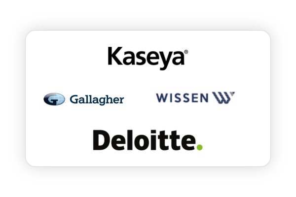 Deloitte , Gallahger, Kaseya, Wissen flm poster