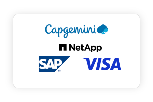 Capgemini, Netapp, Visa and Sap